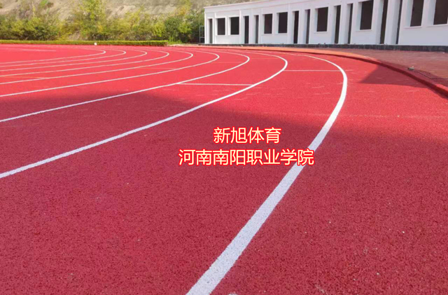 南阳学校塑胶跑道源头厂家
